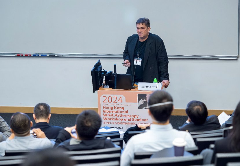 HK Wrist Course 2024- Seminar  - 28 of 257